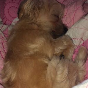 Meet your Posher, Eliza